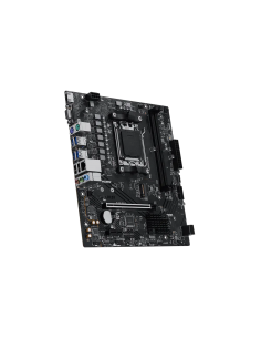 MSI PRO A620AM-B EVO 2